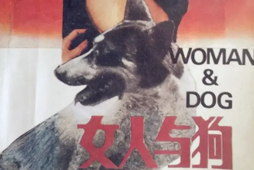欧美电影《女人与狗》蓝光HD 1080P高清免费在线观看-《女人与狗》全集完整版免费播放