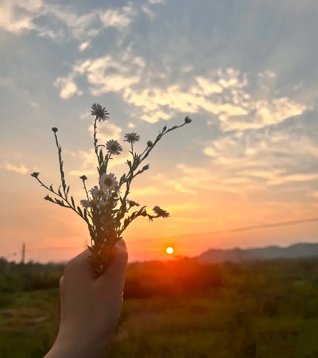 无具体标题内容,请提供标题以便进行资源名提取。相关资源图片