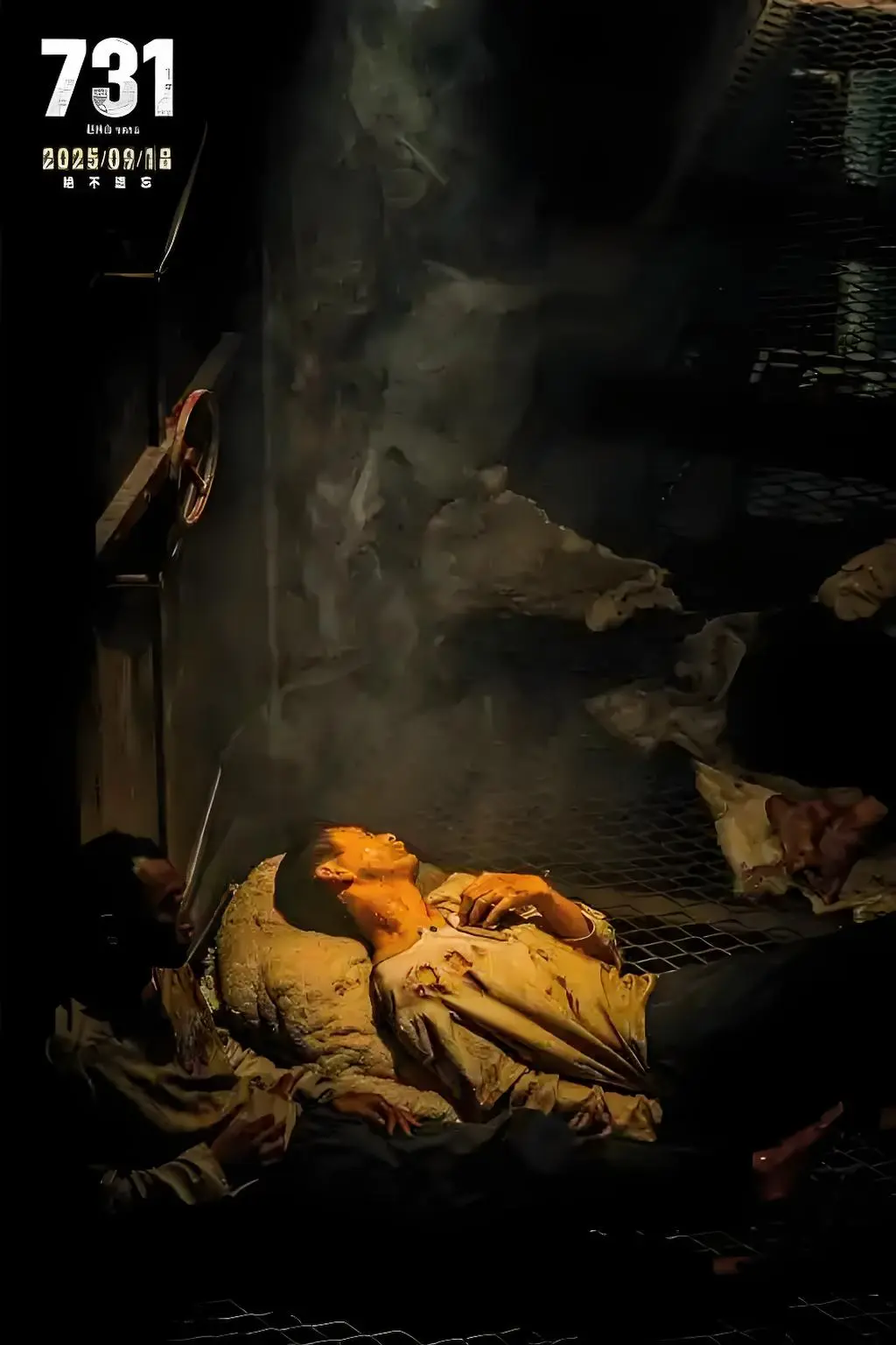 2025国产电影《七三一》全集1080P高清免费观看-《七三一》无广告完整版HD中字