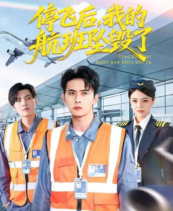 短剧《停飞后，我的航班坠毁了》-全100集无广告4K未删减合集-免费在线观看【1080p】-《停飞后，我的航班坠毁了》网盘下载