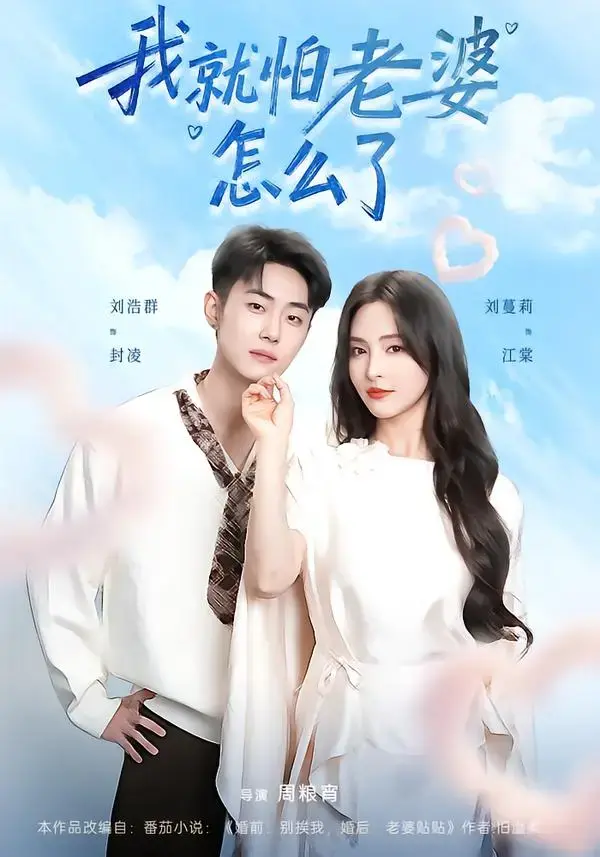 《我就怕老婆怎么了》全88集未删减免费观看