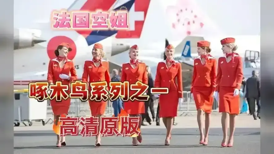 免费在线观看《法国空姐》！体验头等舱般奢华服务，感受法式感官盛宴，在万米高空邂逅别样浪漫！