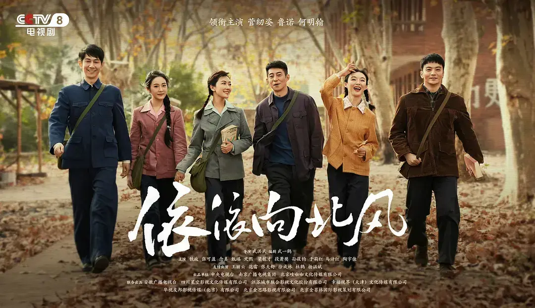 国产剧《依依向北风》网盘观看