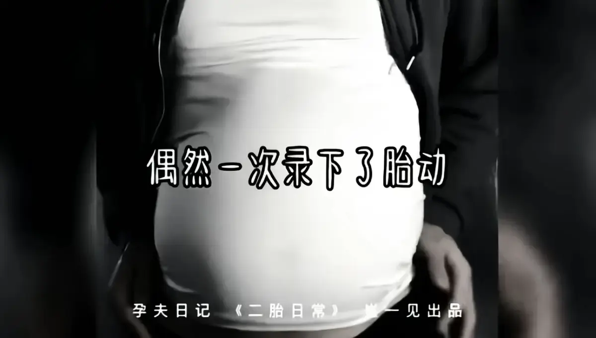 2026必追《崔一见孕夫日记》 1-4集高清无删减全集免费畅享 体验崔一见孕夫趣事 附幕后花絮