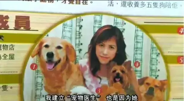 欧美电影《女人与狗》中字无删减免费观看全集 - 1080P超清《女人与狗》完整正片 - 无广告舒适观影 - 网盘资源一键保存