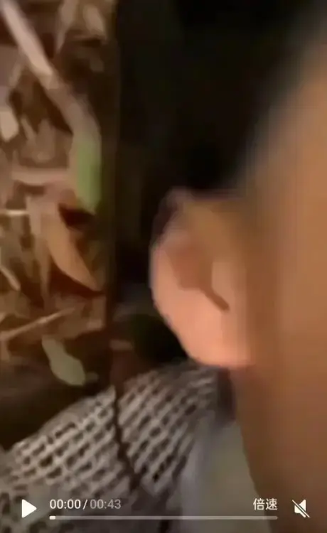 《女轻奢事件》揭秘！包含双人大战、校园轻奢男孩情节，轻奢二人组事件全过程无删减，免费在线观看高清视频！