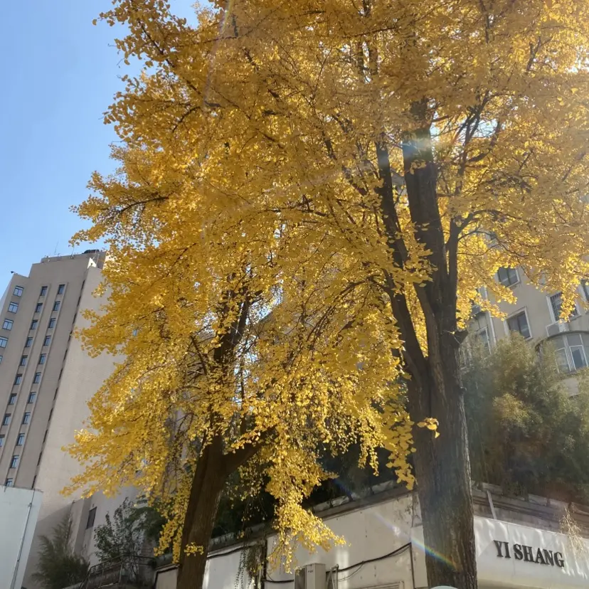 《婚婚逢她》- 免费在线观看无删减版 - 《婚婚逢她》高清全集网盘资源 - 迅雷下载不卡顿